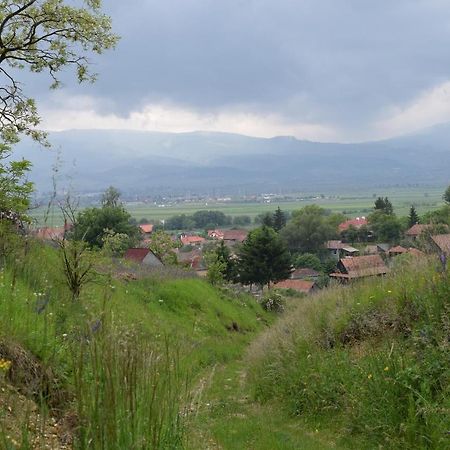 Birdsong Cottage - Peaceful Country Retreat Pauleni-Ciuc Ngoại thất bức ảnh