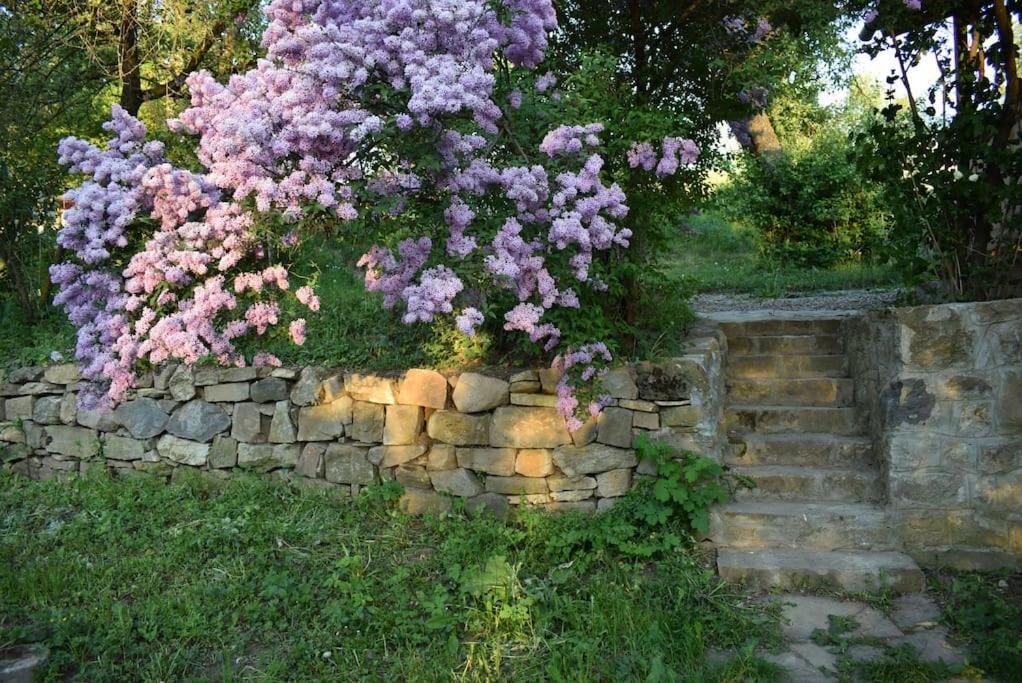 Birdsong Cottage - Peaceful Country Retreat Pauleni-Ciuc Ngoại thất bức ảnh