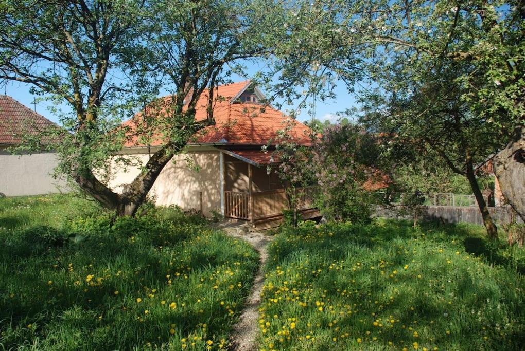Birdsong Cottage - Peaceful Country Retreat Pauleni-Ciuc Ngoại thất bức ảnh