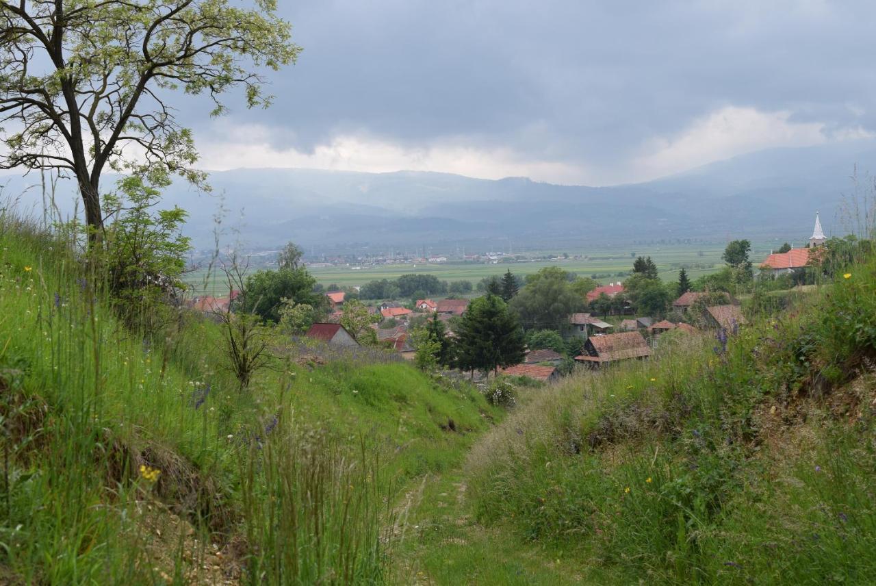 Birdsong Cottage - Peaceful Country Retreat Pauleni-Ciuc Ngoại thất bức ảnh